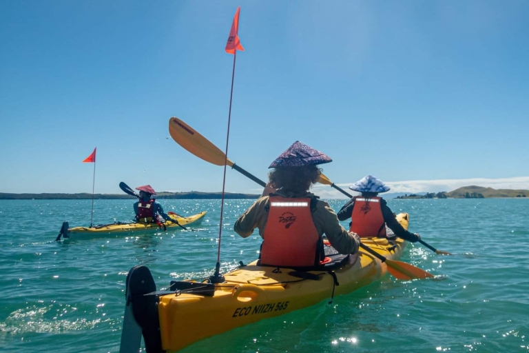 Excursion en kayak de mer sur l'île de Browns MotukoreaRéservation de groupe