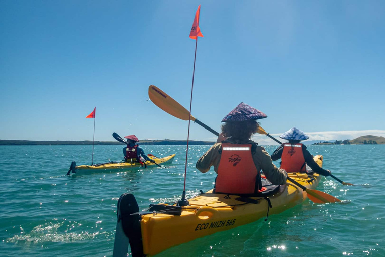 Excursion en kayak de mer sur l'île de Browns MotukoreaRéservation de groupe