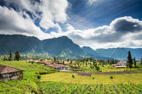 De Bali: Excursão de 3 dias ao Monte Bromo e à Cratera Ijen de Fogo AzulBali: excursão de 3 dias ao Monte Bromo e à cratera Blue Fire Ijen