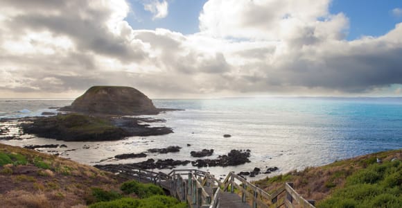 Melbourne: Healesville Sanctuary & Phillip Island Tour