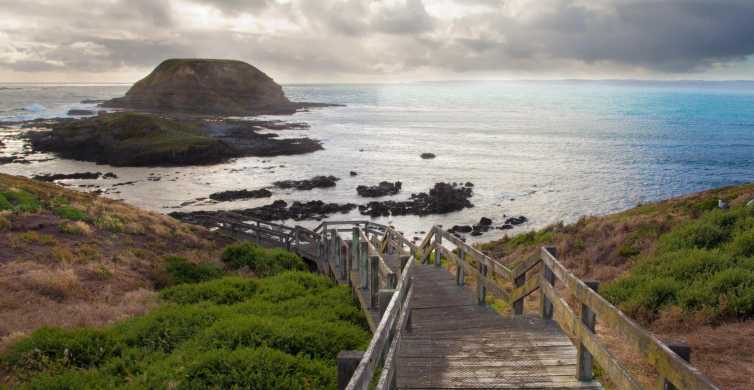 The BEST Phillip Island Tours and Things to Do in 2022 - FREE ...