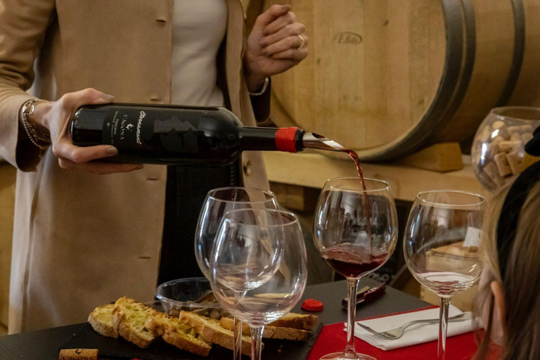 Soiana: tour dei vigneti e della cantina con degustazione di vini vicino a PisaInglese