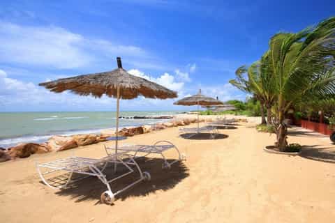 From Saly: Day Trip to Dakar and Ngor