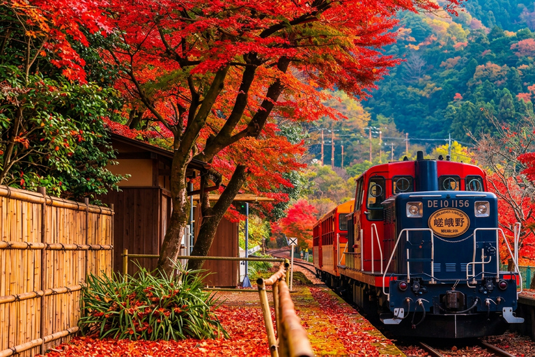 Osaka: Nara, Kyoto, and Arashiyama Day Trip with Train Ride Small Group (1–13 People, Meeting Point Pickup)