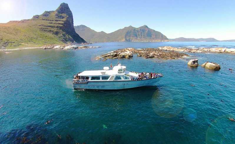 hout bay seal island cruise cape town