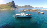 Hout Bay, Duiker Island Seal Colony Cruise - Hizvo