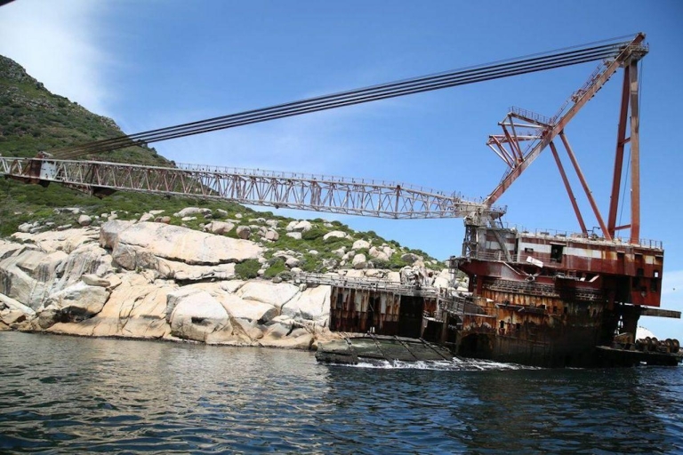 Houtbaai: Duiker Island Zeehondenkolonie CruiseZeehonden- en scheepswrakcruise van 60 minuten