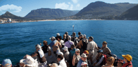 Hout Bay, Duiker Island Seal Colony Cruise - Hizvo