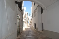Menorca, Mahon Guided Tour with Cruise and Binibeca Visit - Housity