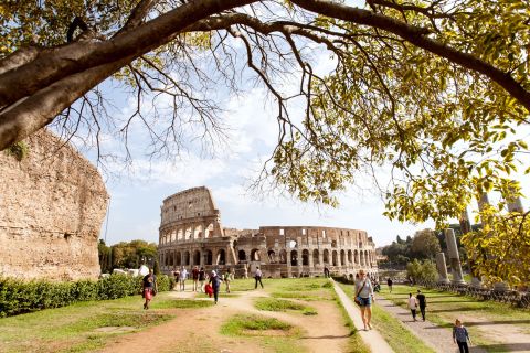 Roma: Colosseum guidet tur med Forum Romanum og Palatinerhøyden