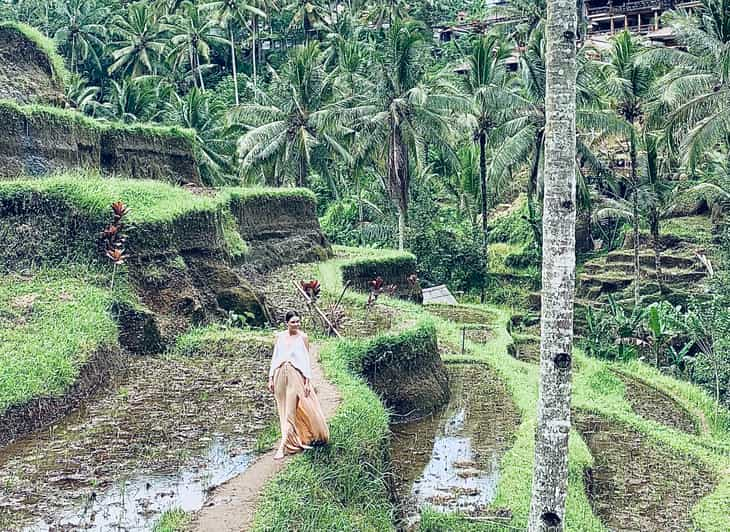 Ubud Privat Sightseeing Transfer Til Steder I Hele Bali Getyourguide