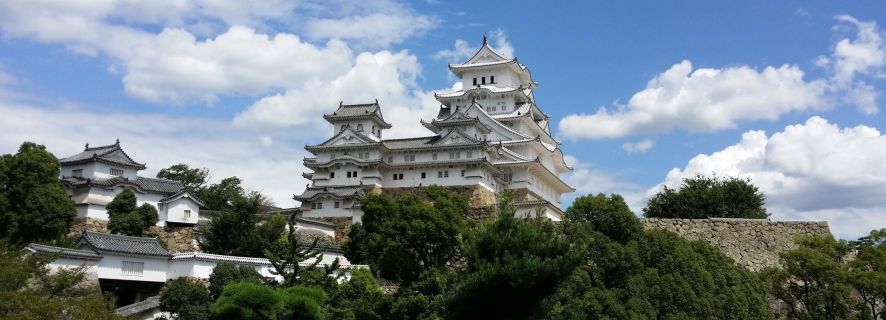 From Osaka: Himeji Castle and Arima Onsen Private Tour