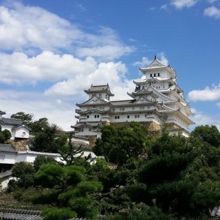 Van Osaka: Himeji Castle en Arima Onsen privétour