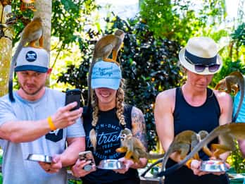 Puerto Plata: Monkeyland y Aventura en Tirolina