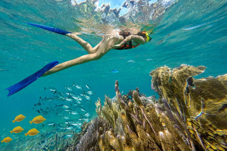 Puerto Morelos: esnórquel y almuerzo