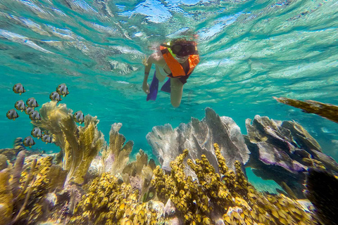 Puerto Morelos : snorkeling et déjeuner