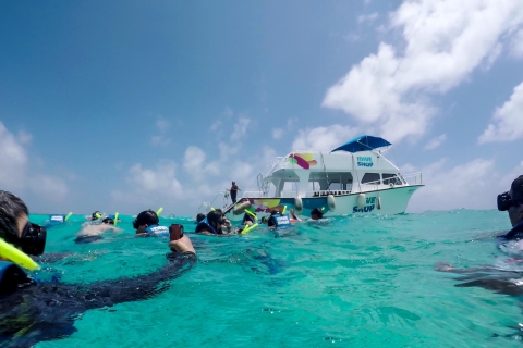 Cozumel : aventure au récif avec plongée en apnée et déjeuner