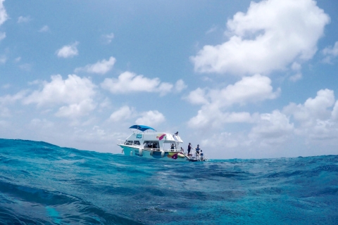Cozumel : aventure au récif avec plongée en apnée et déjeuner
