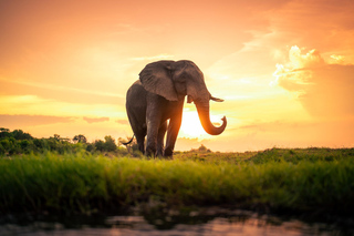 Multi-day Tours and Trips from Colombo