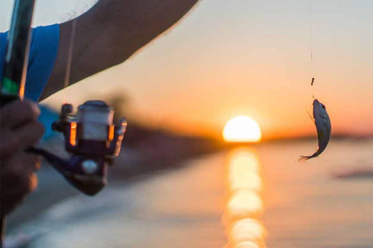 From Mirissa: All-Inclusive Deep Sea Fishing Boat Tour