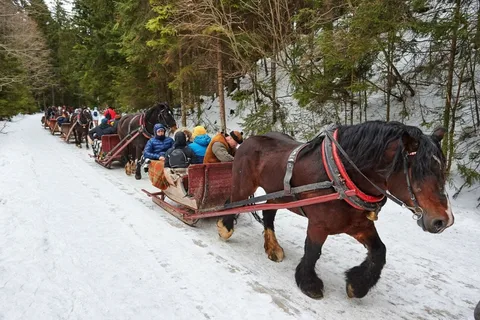 Passeio de trenó a cavalo 2-3h com Hot Springs ou Zakopane Combos
