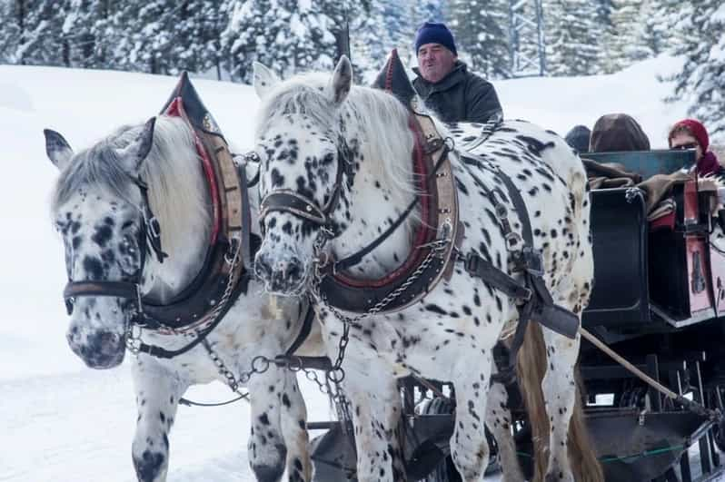 De Cracovie: Zakopane, promenade en traîneau et visite des thermes