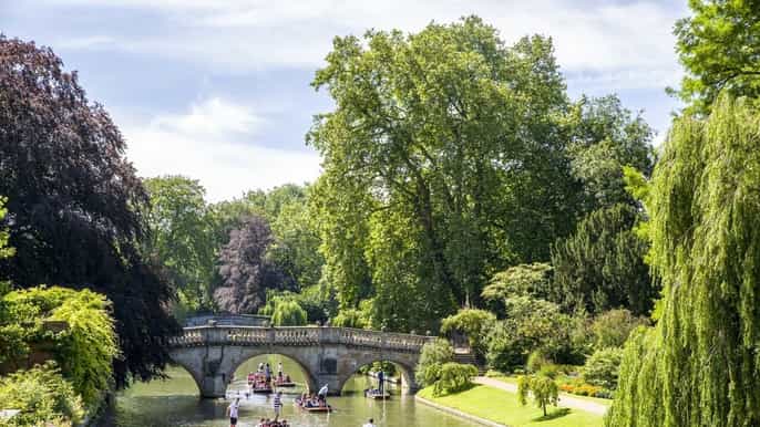 cambridge tour guidato privato del fiume punting