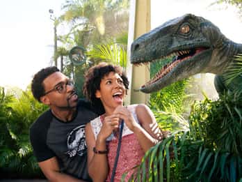 Universal Orlando Resort Base Tickets Einwohner der USA und Kanadas Universal Orlando Resort Base Tickets Einwohner der USA und Kanadas