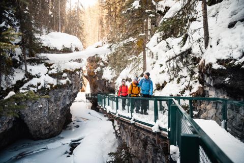 Banff: Johnston Canyon Icewalk am Morgen oder Nachmittag