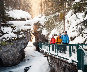 Banff: Paseo por el hielo del Cañón Johnston por la mañana o por la tarde