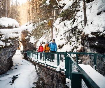 Banff: Morning or Afternoon Johnston Canyon Icewalk