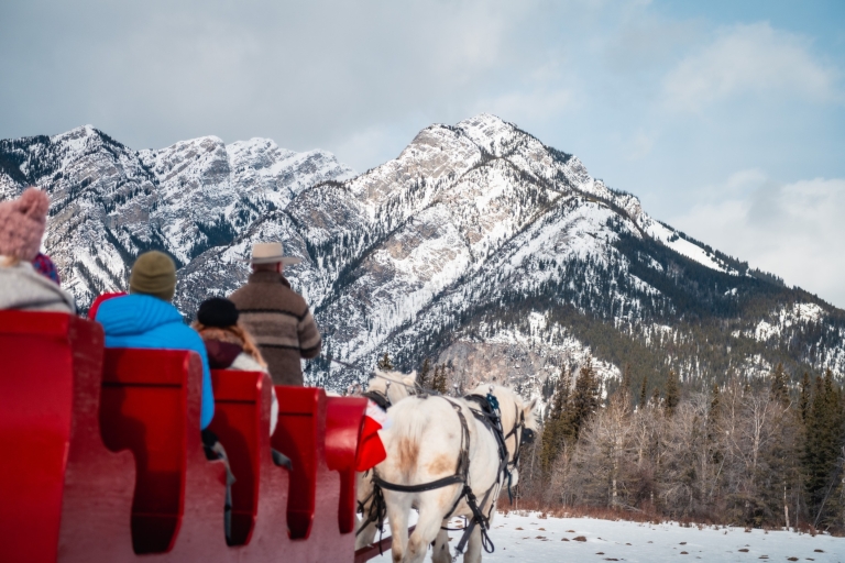 Banff: Family Friendly Horse-Drawn Sleigh Ride