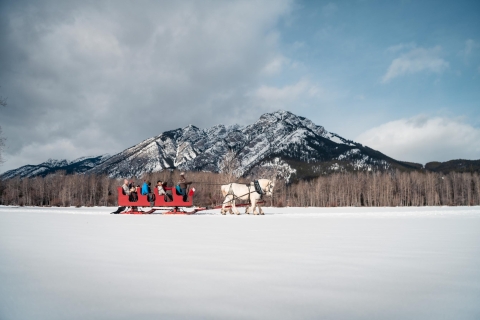 Banff: Familienfreundliche Pferdeschlittenfahrt