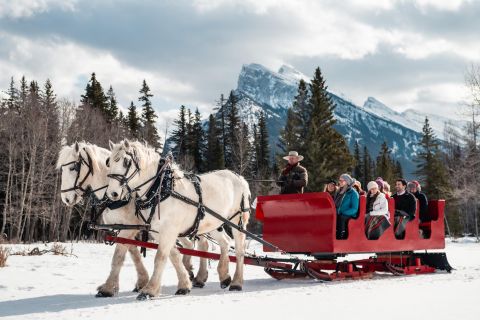 Banff : Promenade en traîneau tiré par des chevaux pour les familles