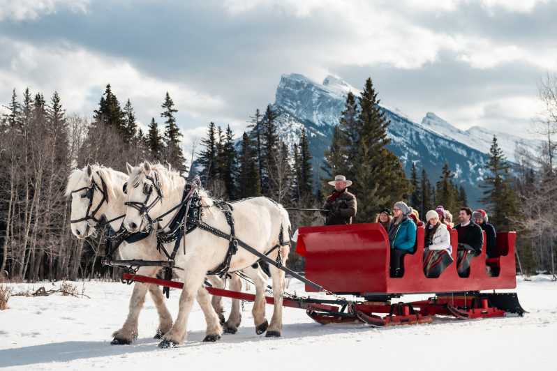 Banff: giro in slitta trainata da cavalli per famiglie