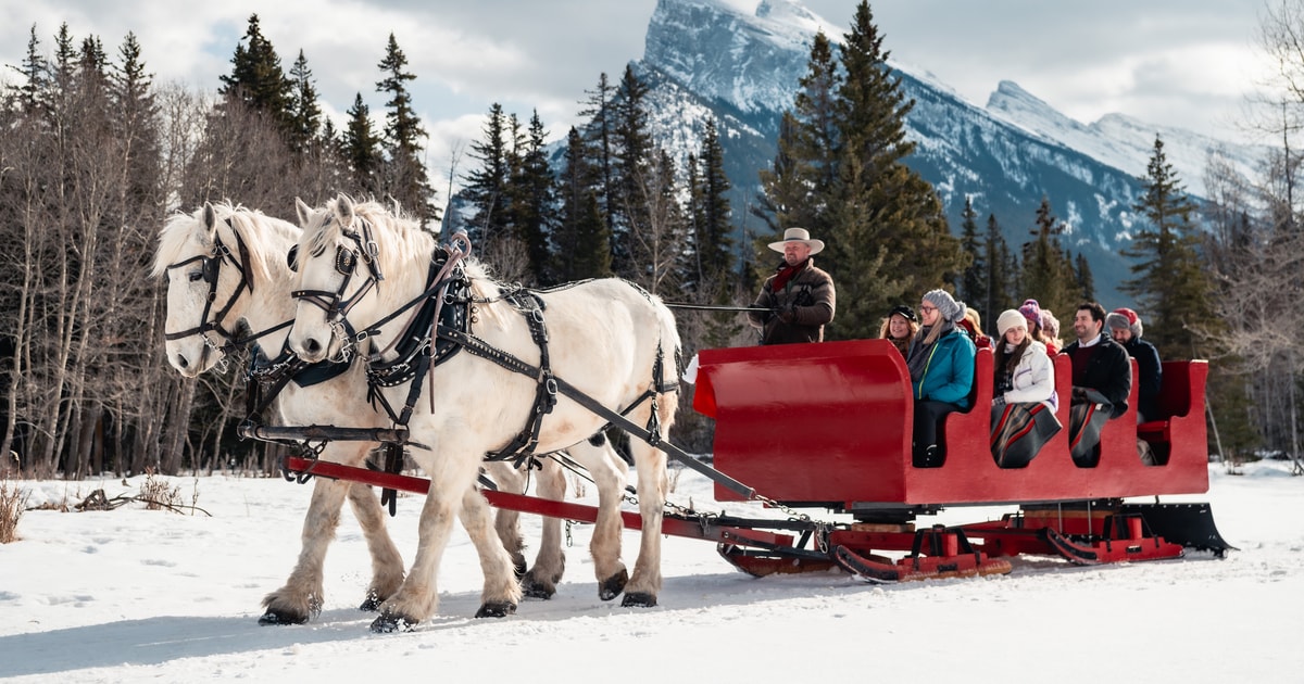 Banff Promenade En Traineau Tire Par Un Cheval Et Adaptee Aux Familles Getyourguide