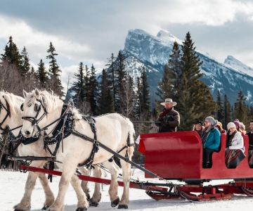 Banff Paseo en trineo tirado por caballos para toda la familia