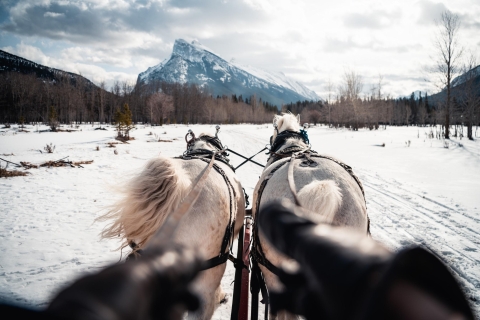 Banff: rodzinna przejażdżka saniami zaprzężonymi w konie