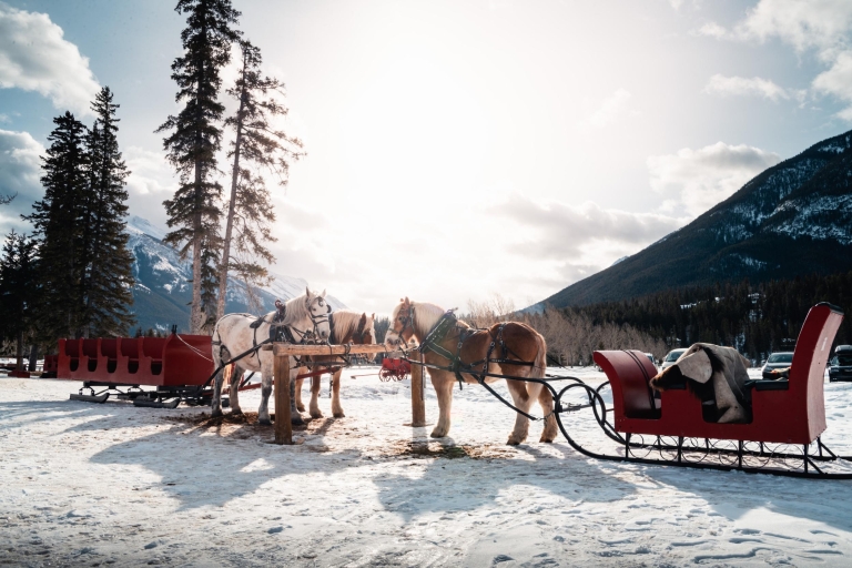 Banff: Familienfreundliche Pferdeschlittenfahrt