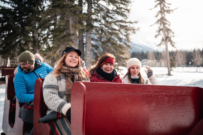 Banff: balade en traîneau tirée par des chevaux pour toute la famille