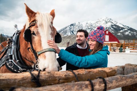 Banff: Romantic Horse-Drawn Sleigh Ride
