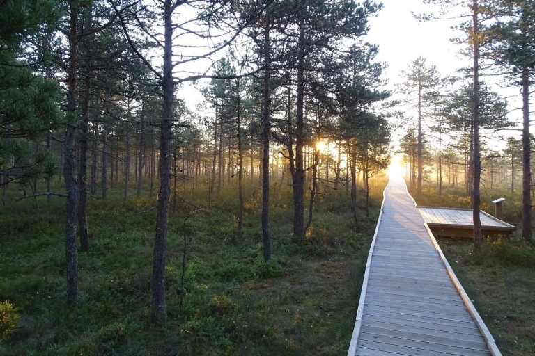 Estonia Encantada: Una Escapada de Lujo de Tres Noches
