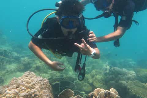 Phu Quoc: Scuba Diving for PADI Divers or Beginners