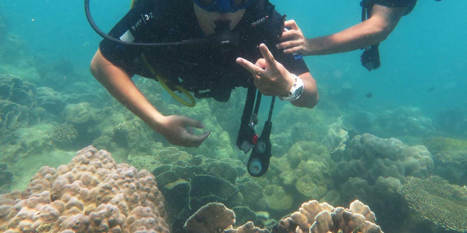 best diving for beginners