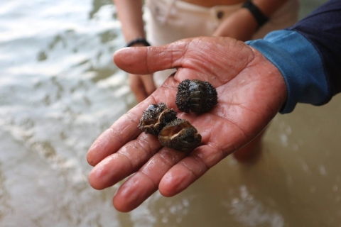 Krabi: Wycieczka kajakiem po jaskini morskiej z laguną Lae Nai i lunchemMiejsce zbiórki na plaży Tonsai