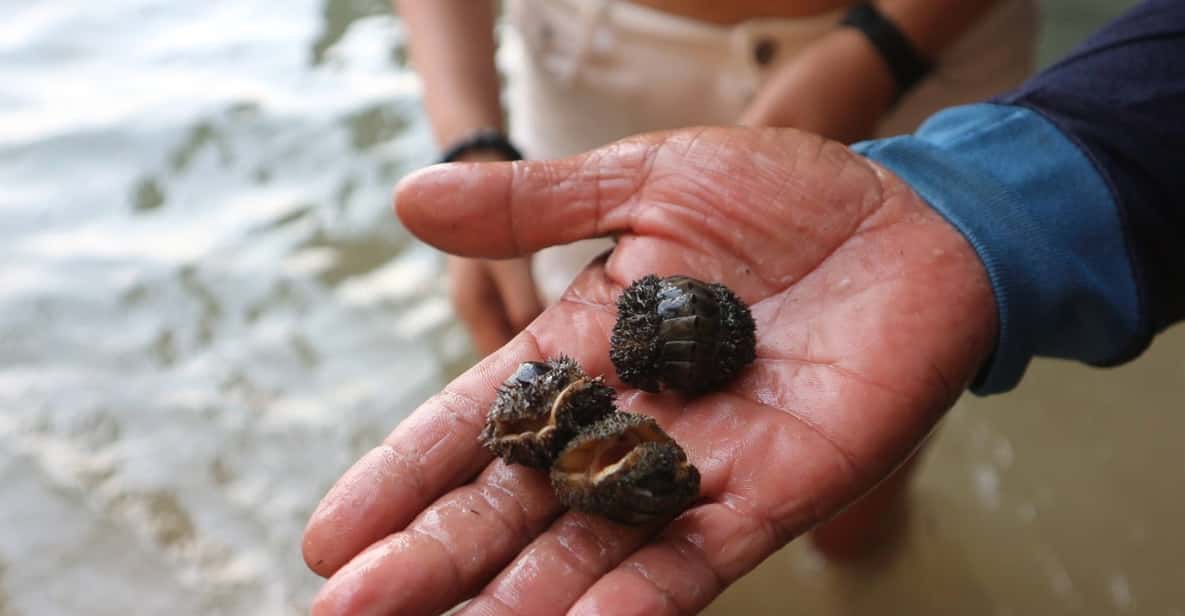 Krabi: Sea Cave Kayaking Tour with Lae Nai Lagoon and Lunch