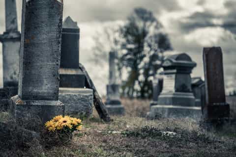 New Orleans: 5-in-1 Cemetery Walking Tour