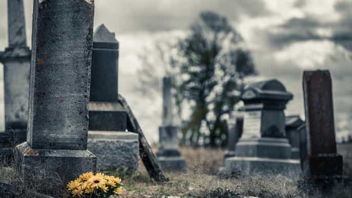 nueva orleans recorrido a pie por el cementerio 5 en 1
