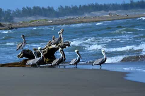 Veracruz: Full-Day Boat Ride and Tour of La Antigua