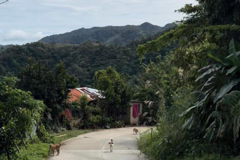 Cebu: Mount Manunggal Guided Hike